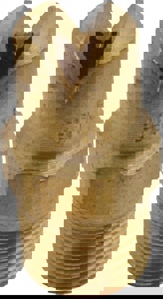 Brass Standard Fan Nozzle: 1/8